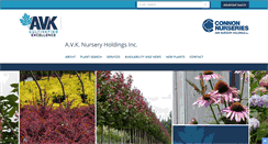 Desktop Screenshot of connonavk.com